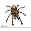 Defender Mousepad Silk 230X190X1.6mm (SPIDER) - (50706-06)