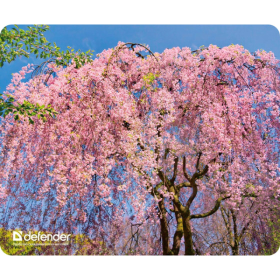 Defender Mousepad Silk Nature 230x190x1.6mm (BLOSSOM) - (50707-06)