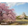 Defender Mousepad Silk Nature 230x190x1.6mm (Temple SCAPE) - (50707-03)