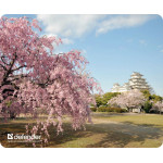 Defender Mousepad Silk Nature 230x190x1.6mm (Temple SCAPE) - (50707-03)