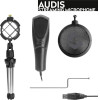 Speedlink SL-800012-BK, Audis Streaming microphone black
