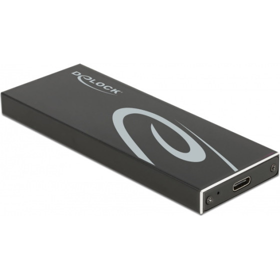 DeLock ���� ��� �.2 Sata Ssd USB-C, 10Gbps, ����� - (42003)