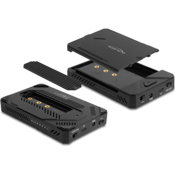 DeLock ���� M.2 Nvme & Sata SSD/Hdd 10Gbps, ���������� ������ - (42020)