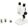 Celestron ������������� ����������� Labs S20