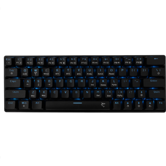White Shark Mechanical Keyboard Red Switch GK-003111 Us Black - (KAIKEN)