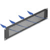 DeLock ������� Panel ��� 19''/2U rack, �� ����������, ����� - (67036)