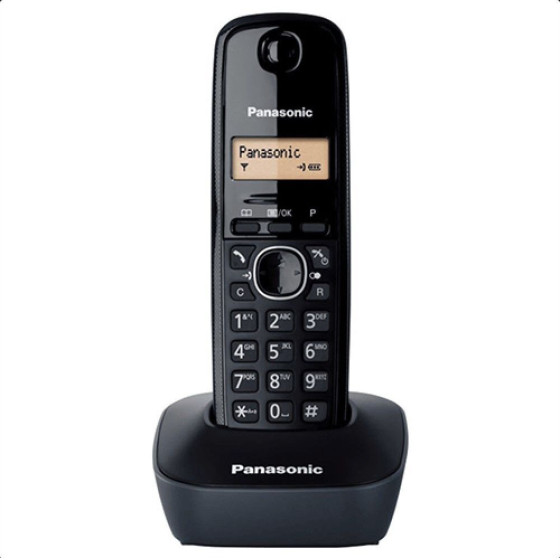 Panasonic KX-TG1611 �������� �����
