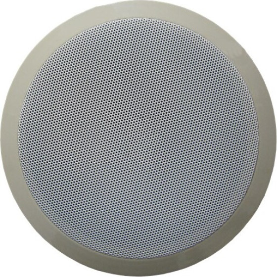 ����� ������ 100V 5in - (CH-705-5)