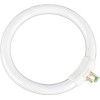 ������������ ����� - (YH-298/bulb)