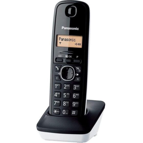 Panasonic KX-TG1611 �������� �����-�����