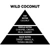 Auto Gs ��������� Wax Melt ������ Themagio Wild Coconut 55gr 1 ������� - (77417)