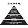 Auto Gs ��������� ���� ������ Themagio Dark Orchid 300gr 1 ������� - (77203)