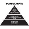Auto Gs ��������� ���� ������ Themagio Pomegranate 300gr 1 ������� - (77205)