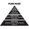 Auto Gs ��������� ���� ������ Themagio Pure Musk 300gr 1 ������� - (77200)