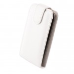���� ICASE SLIGO IPHONE 5C ���������� FLIP �����