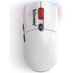 Marvo Monka Guru TYPE-C+2.4G+Bt Gaming Mouse - (G995W)