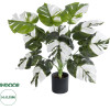 GloboStar Artificial Garden Albino Monstera ������������ ���� ����� �������� �55cm - (20935)