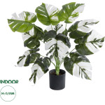 GloboStar Artificial Garden Albino Monstera ������������ ���� ����� �������� �55cm - (20935)