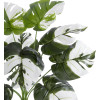 GloboStar Artificial Garden Albino Monstera ������������ ���� ����� �������� �55cm - (20935)