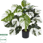 GloboStar Artificial Garden Albino Monstera ������������ ���� ����� �������� �75cm - (20925)