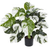 GloboStar Artificial Garden Albino Monstera ������������ ���� ����� �������� �75cm - (20925)