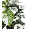 GloboStar Artificial Garden Albino Monstera ������������ ���� ����� �������� �75cm - (20925)