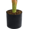 GloboStar Artificial Garden Areca Palm 20926 ������������ ���� ����� �90cm - (20936)