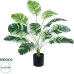 GloboStar Artificial Garden Banana Zebra ������������ ���� �������� ����� �55cm - (20929)