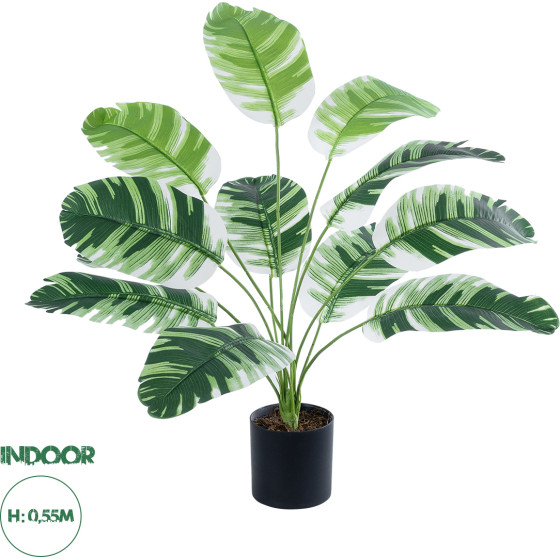 GloboStar Artificial Garden Banana Zebra ������������ ���� �������� ����� �55cm - (20929)