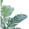GloboStar Artificial Garden Banana Zebra ������������ ���� �������� ����� �55cm - (20930)