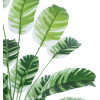 GloboStar Artificial Garden Banana Zebra ������������ ���� �������� ����� �80cm - (20918)
