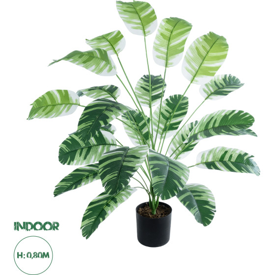 GloboStar Artificial Garden Banana Zebra ������������ ���� �������� ����� �80cm - (20918)