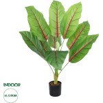GloboStar Artificial Garden Blood Banana ������������ ���� ����������� �������� �90cm - (20944)
