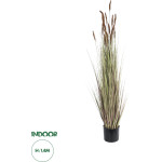GloboStar Artificial Garden Brown Lagurus ������������ ���� ���� �������� �140cm - (21101)