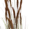 GloboStar Artificial Garden Brown Lagurus ������������ ���� ���� �������� �140cm - (21101)