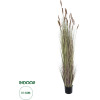 GloboStar Artificial Garden Brown Lagurus ������������ ���� ���� �������� �180cm - (21103)