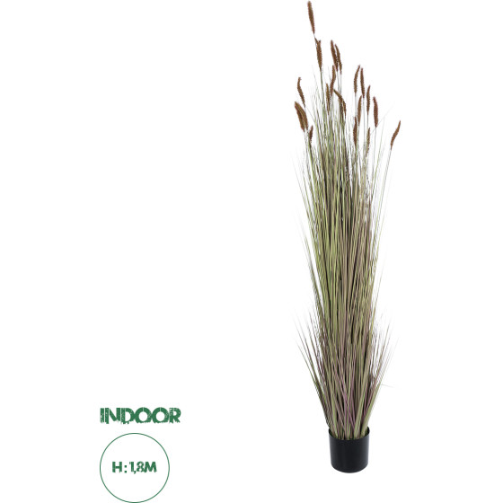 GloboStar Artificial Garden Brown Lagurus ������������ ���� ���� �������� �180cm - (21103)