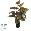 GloboStar Artificial Garden Caladium Mix ������������ ���� ���������� �75cm - (20911)