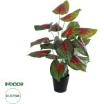 GloboStar Artificial Garden Caladium Mix ������������ ���� ���������� �75cm - (20911)