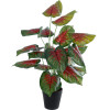 GloboStar Artificial Garden Caladium Mix ������������ ���� ���������� �75cm - (20911)