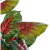 GloboStar Artificial Garden Caladium Mix ������������ ���� ���������� �75cm - (20911)
