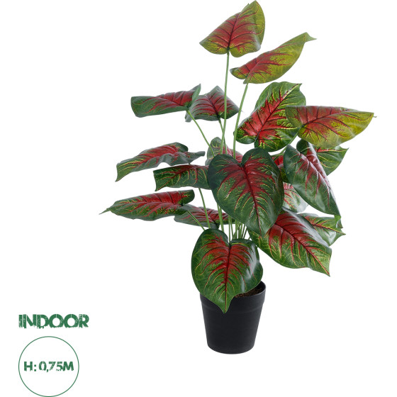 GloboStar Artificial Garden Caladium Mix ������������ ���� ���������� �75cm - (20911)