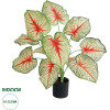 GloboStar Artificial Garden Caladium ������������ ���� ���������� �55cm - (20932)