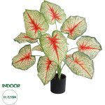 GloboStar Artificial Garden Caladium ������������ ���� ���������� �55cm - (20932)