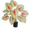 GloboStar Artificial Garden Caladium ������������ ���� ���������� �55cm - (20932)