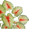 GloboStar Artificial Garden Caladium ������������ ���� ���������� �55cm - (20932)