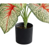 GloboStar Artificial Garden Caladium ������������ ���� ���������� �55cm - (20932)