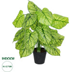 GloboStar Artificial Garden Caladium ������������ ���� ���������� �75cm - (20913)
