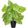 GloboStar Artificial Garden Caladium ������������ ���� ���������� �75cm - (20913)