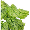 GloboStar Artificial Garden Caladium ������������ ���� ���������� �75cm - (20913)